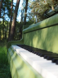 Fortepian Bosendorfer 170 zabytkowy, unikatowy kolor z funkcją stołu - Zdjęcie 1 z 9