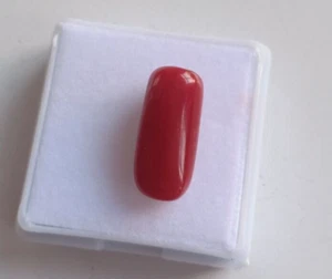 100% Natural Italian Red Coral Cabochon Smooth Polished Loose Gemstone 6.50 Ct - Picture 1 of 6