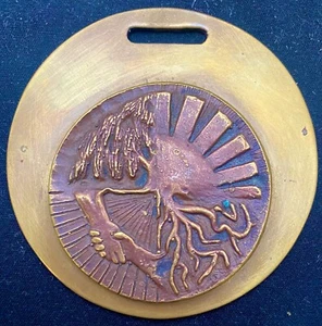 BEAUTIFUL VERY RARE ARGENTINIAN BRONZE MEDAL, MUNICIPALIDAD DE CNEL. SUAREZ 1987 - Picture 1 of 2