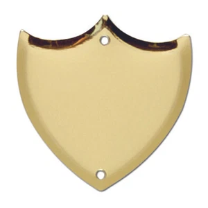 Trophy Side Shield (S033) - Gold / (Metal) - With Free Engraving - Picture 1 of 1