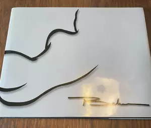 Hal Buckner Sculptures of the Female Form in Aluminum and Paint Signed Numbered - Foto 1 di 8