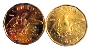 LOTE 2 CANADIENSES 1 DÓLAR 2008, OLÍMPICO***2 FOIS 1 DÓLAR CANADIENSE 2008, OLÍMPICO - Imagen 1 de 6