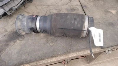 Muelle neumático/bobina trasero izquierdo 1663200325 2013-2016 mercedes-benz gl450 Foto 1 de 4