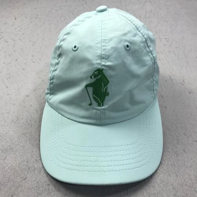 Sombrero de golf Hogs Head adulto talla única ajuste pequeño verde azul ajustable imperial 100 Foto 1 de 4