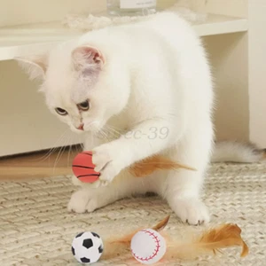 New Design Cat Interactive Ball Toy Bouncy Ball with Feather Indoor Cat Game Toy - Picture 1 of 14