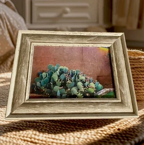 Foto enmarcada de cactus 5X7 desierto suculentos cactus fotografía artística - Imagen 1 de 1