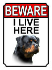Dog Breeds Gate Signs Beware I Live Here Metal Tin Signs Garden Yard Fence Gift