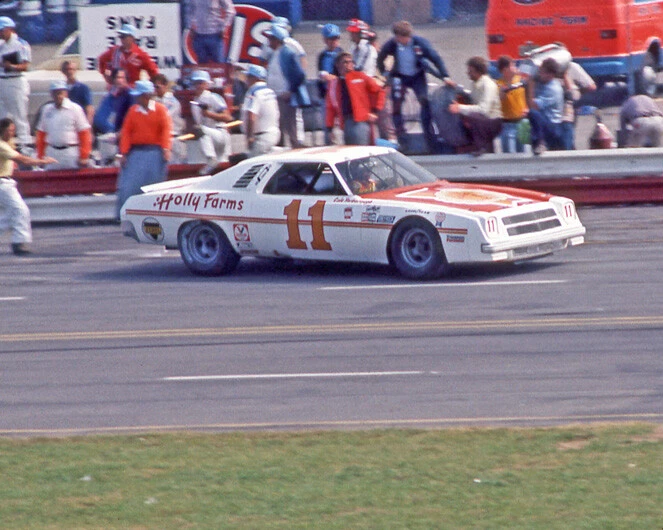 Chevy Holly Farms 1976 Cale Yarborough brillante foto 8x10 impresión Darlington 500  Foto 1 de 1