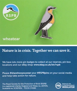 RSPB Pin Badge New Brand NIIC Wheatear P03093 - Picture 1 of 1