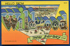 Wildwood New Jersey neuf grandes lettres carte postale lin