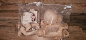 2 Realborn Sets~von Bountiful Baby~Original~#31~Playful Sage4m+Juni 3Jahre - Bild 1 von 5