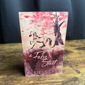 Ein Fehlstart: Elsie eines Kleinstadtbruders Silber wie neu Taschenbuch - Bild 1 von 4