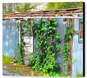 Lienzo Giclee Paisaje Barbara Snyder Edificio Antiguo Sobrecrecido y Abandonado 16x20 - Imagen 1 de 1