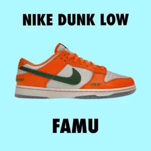Nike Dunk Low FAMU size 11 - Picture 1 of 11
