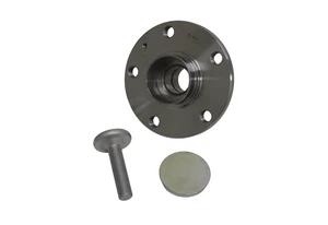 Radnabe, Hinterachse für Audi A3, Skoda Octavia, VW Golf V RAG0701644 - Bild 1 von 1