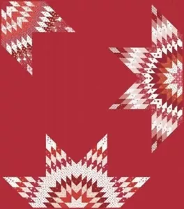 Kit de edredón Riley Blake Kits RED HOT TAMALE - Imagen 1 de 1