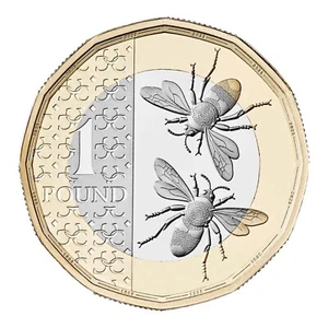 RARE NIFC 2024 KING CHARLES III UNC BEES £1 ONE POUND COIN. - Picture 1 of 14