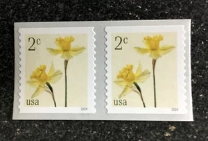 2024USA #5903 2c Daffodils - Coil Pair  Mint NH    flower - Picture 1 of 1