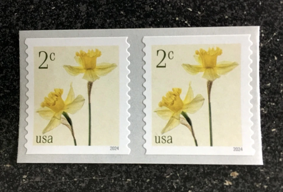 2024USA #5903 2c Daffodils - Coil Pair  Mint NH    flower - Image 1 of 1