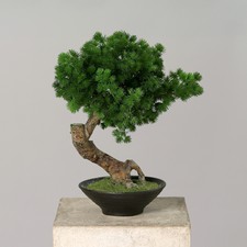 Kunstlicher Bonsai Gunstig Kaufen Ebay