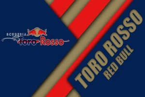 Red Bull Toro Rosso Team Home Decor Wall Print Formula 1 Poster LARGE 36x24 - Picture 1 of 4