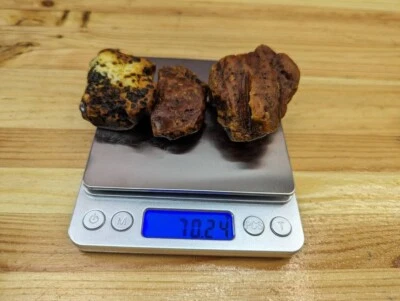 Stones Of Natural Amber Raw 70.24 Grams 3 Pieces - Image 1 of 4