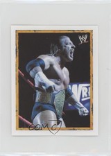 2008 Merlin WWE Heroes Stickers Poster Stickers Triple H #P6