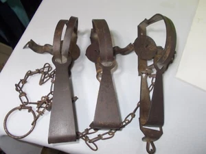 3 victor no-1 Oneida jump trap animal traps - Picture 1 of 4