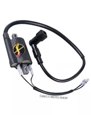Bobina de ignição 6V para Suzuki TS50 TS75 TS100 TS125 TS185 TS200R TS250 TS400 - Imagem 1 de 4