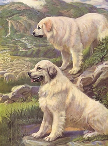 PYRENEAN MOUNTAIN TWO DOGS LOVELY DOG GREETINGS NOTE CARD - Picture 1 of 1