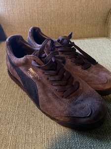 brown puma roma