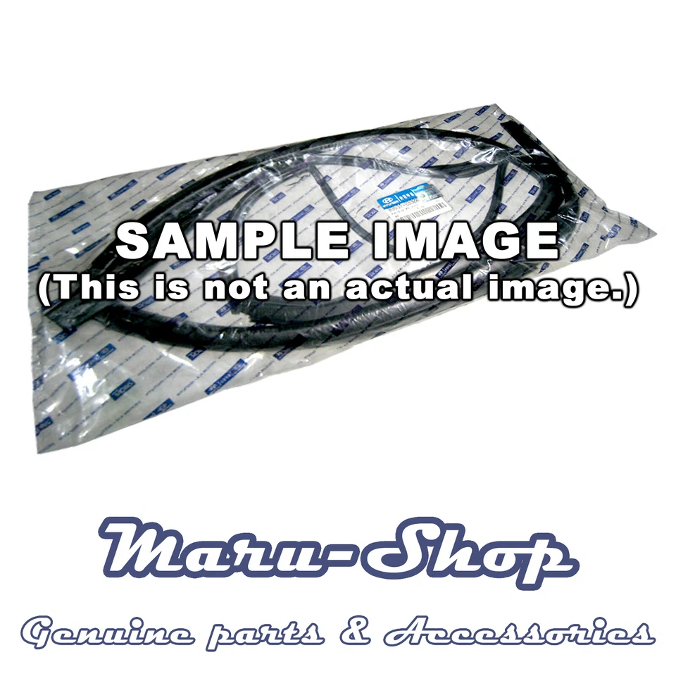 Door Side-Door Rubber Weatherstrip Seal FR/LH for 01~06 Hyundai Santa Fe - Image 1 of 1