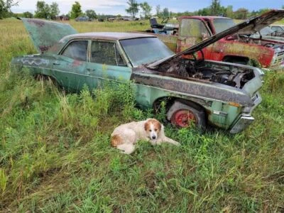 Regulador ventana trasera pasajero manual sedán Lesabre se adapta a 67-68 BUICK  Foto 1 de 4