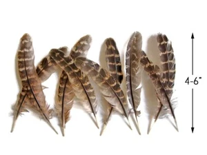 1/4 Lb 4-6" Natural Brown Ringneck Barred Pheasant Wing Quill Feathers Wholesale - Picture 1 of 6