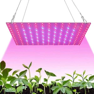 1000W Grow Light Full Spectrum LED Growing Lamp for Indoor Veg Bloom - Picture 1 of 12