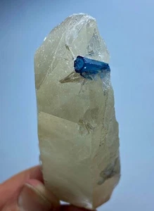 Natural Blue Tourmaline On Quartz Crystal Specimen From Afghanistan 602 Carats - Picture 1 of 12