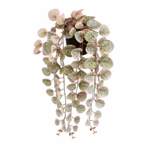 Planta Decorativa Mica Decorations Ceropegia Woodii 10 x 46 x 12 cm Artificia - Imagen 1 de 1