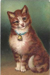 YELLOW CAT POSTCARD Pleased Looking Yellow Cat w/Blue Ribbon & Bell - Picture 1 of 2