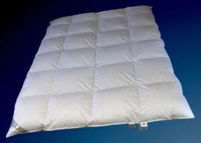 Winter 8cm Hochsteg Kassetten Daunenbett Daunendecke 4x6 155x220 100%  Daunen  - Bild 1 von 4