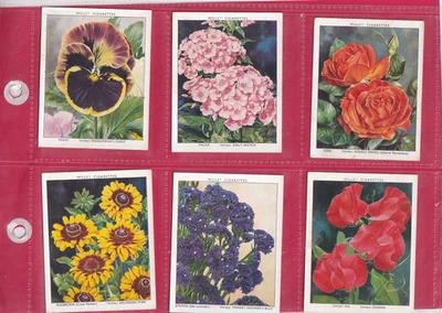 WILLS - GARDEN FLOWERS (LARGE), A SERIES -  ISSUED 1938 - 6 CARDS - HIGH NUMBERS - Image 1 of 2