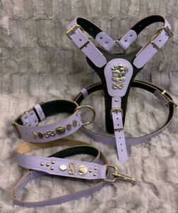 REAL LEATHER STAFFORDSHIRE/STAFFY HARNESS, COLLAR & LEAD SET - LEATHER
