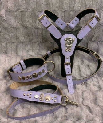 REAL LEATHER STAFFORDSHIRE/STAFFY HARNESS, COLLAR & LEAD SET - LEATHER - Image 1 of 4