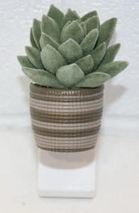 Bath & Body Works Succulenta Fuzzy con Vaso a Righe Pianta Wallflower Plug Profumo - Foto 1 di 8