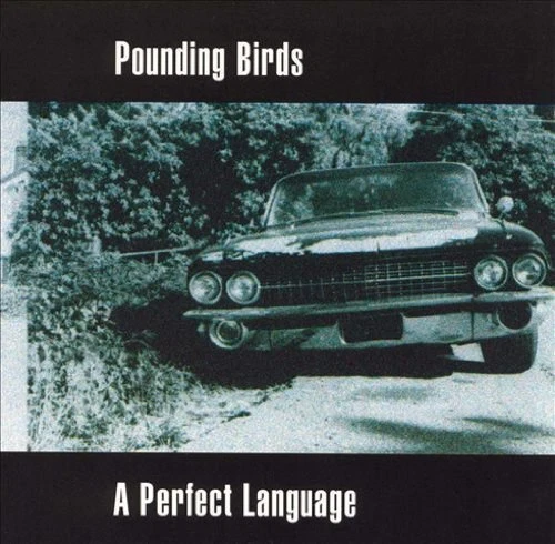 Pounding Birds [CD] A perfect language - Photo 1/1