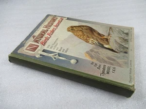 c1900 A Natural History: Birds Fishes Insects Etc - Rev. Theo Wood Colour Plates - Bild 1 von 12