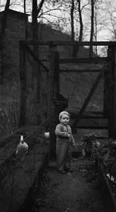 Portrait enfant poulailler poules - ancien négatif photo an. 1940 50 - Imagen 1 de 1