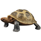  Simulierte Schildkröte Schildkrötenverzierung Kinderspielzeug Modell