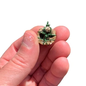 Small Natural Quartz Geode Green Copper Wire Wrap Pendant Handmade Jewelry Gift - Picture 1 of 8