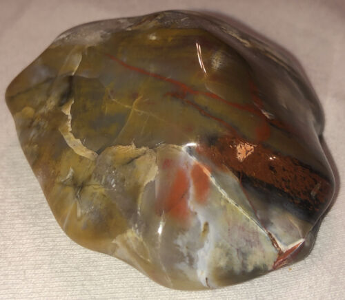 Polished Petrified Wood Poker Card Protector. Good Luck Charm That’s 225 Mil Y O
