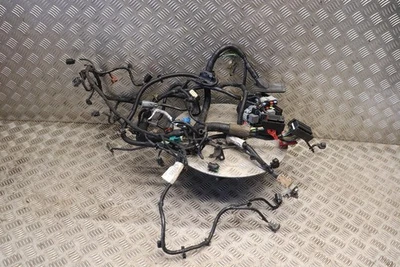 GALAXY S-MAX MONDEO 2.0 ECOBOOST ENGINE WIRING LOOM AG9T-14A280-S 2010-14 EF60B - Image 1 of 4